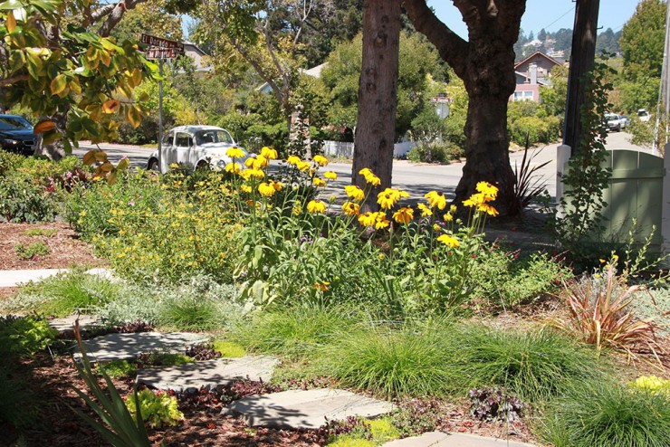 The Alameda Berkeley Planted Earth, Alameda Landscape Design