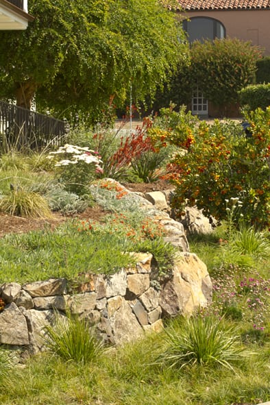 Sweeping rock wall with drought-tolerant garden design.