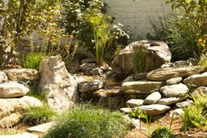 Water feature with boulders, reeds, irises, ferns and ribes.