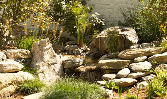 Water Features | The Bay Area