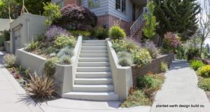 Steps leading up to house with phormium, purple japanese maple, yellow yarrow and cypress tree.